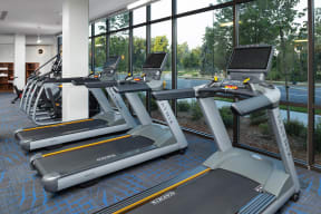 Fitness Center With Cardio Equipment at 1000 Speer by Windsor, Denver, 80204