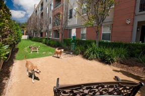 Pet-Friendly Community with Enclosed Dog Run at Windsor at Main Place, Orange, 92868