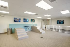 Indoor Pet Wash Station at Amaray Las Olas by Windsor Apartments, Fort Lauderdale, Florida