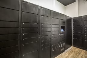 24-Hour Package Lockers with LuxerOne at The Monterey by Windsor, Texas, 75204