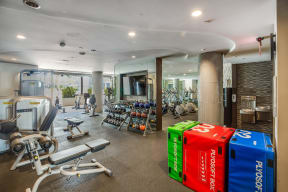Spacious Fitness Center Filled with Natural Light at South Park by Windsor, 939 South Hill Street, CA