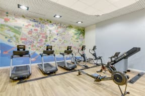 Cardio machines in fitness center