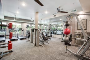 Fully-Equipped Fitness Center at Windsor West Lemmon, Dallas, 75209