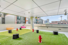 Rooftop Pet Park at The Martin, 2105 5th Ave, Seattle