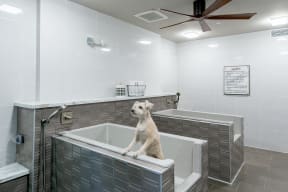 Pet washing station at Cannery Park by Windsor, California, 95112