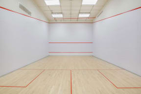 Squash Court at The Aldyn, 60 Riverside Blvd., NY