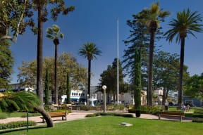 Easy Access To Local Parks at Windsor at Main Place, Orange, California