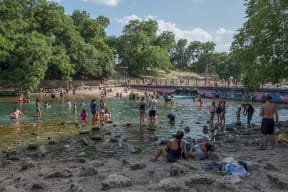 Local Swimming Hole Nearby at Windsor South Lamar, Austin, 78704
