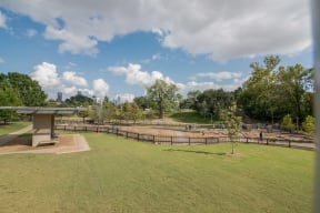 Great Location For Pets at Allen House Apartments, 77019, Texas