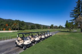 Nearby Local Golf Courses Abound at The Kensington, 94566, CA