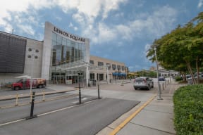Close to Lenox and Perimeter Malls at Windsor at Brookhaven, Atlanta, Georgia