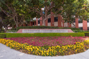 Apartments Near University of Southern California at South Park by Windsor, 90015, CA
