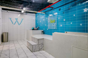 Pet Spa at Eleven by Windsor 811 East 11th Street Austin, TX 78702