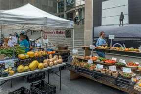 The SOAR Farmers Market is held every Tuesday, 7am-2pm at the Museum of Contemporary Art Plaza. June through October.