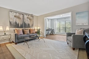 Living Room Interior at Windsor Peachtree Corners, Georgia, 30092