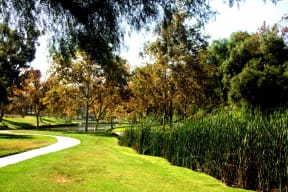 Craig Regional Park at Valentia by Windsor, California