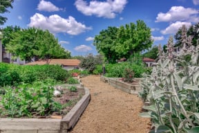 Community Garden Space at Windsor on White Rock Lake, Dallas