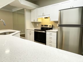 Lex at Brier Creek apartments in Morrisville, NC, kitchen with quartz counters