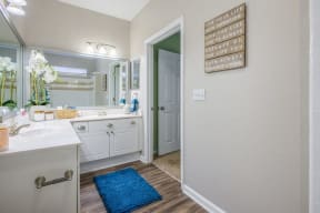 Lex at Brier Creek apartments in Morrisville, NC, renovated bathroom