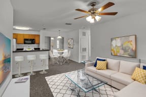 Living Room and Kitchen