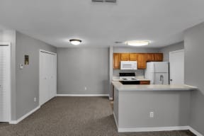 Living Room and Kitchen