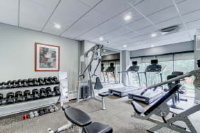 High-impact Fitness Center with Free Weights