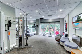 High-impact Fitness Center with Free Weights