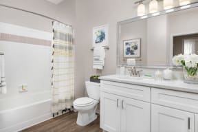 803 Corday at Naperville - Modern Bathroom with Shower, Large Vanity, and Modern Lighting Fixtures