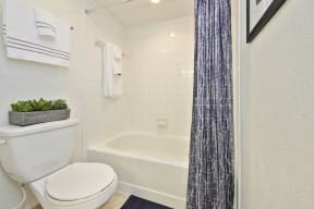 Bathroom with toilet and shower tub