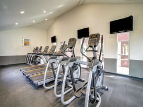 fitness center- cardio machines