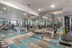 fitness center gym system