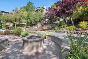 Apartments in Larkspur for Rent - Larkspur Courts Apartments Fire Pit with Concrete Seating Benches Surrounded by Lush Landscaping