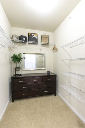 Master Closet with Framed Mirror and Storage Space at Aventura at Forest Park, St. Louis, 63110