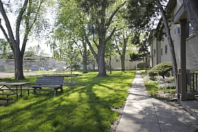 Outdoor communal space with beautiful landscaping, large trees, and benches.