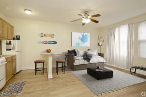 Studio 450 sq ft Living Room and Kitchen