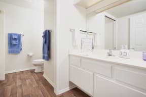 One-Bedroom Apartments in Thousand Oaks CA - The Knolls Spacious Bathroom with a Large Vanity, Modern Light Fixtures, Shower, and Much More