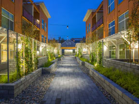 San Mateo Apartments - Mode Apartments - Well Lit Courtyard at Night with Beautiful Landscaping for A Scenic View