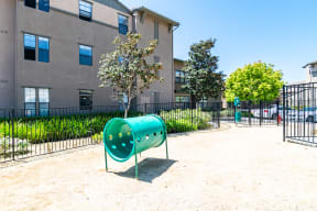 Apartments Rancho Bernardo San Diego - The Reserve at 4S Ranch - Fenced in Dog Park with Activities for Your Pet