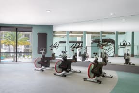Vera Fitness Center