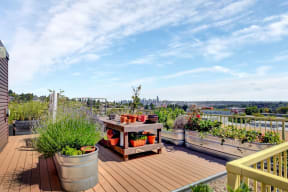urban garden at Link Apartments in Seattle, Washington