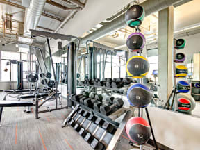 free weights at Link Apartments in Seattle, WA 98126