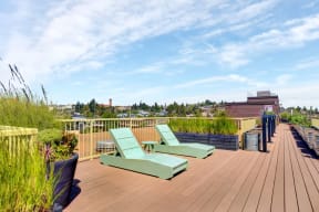 sun lounges at Link Apartments in Seattle, WA 98126