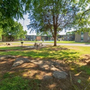 Murfreesboro Apartments - Condos at the Villager - Community Grounds With Picnic Table, Ample Grassy Areas, and Trees Providing Shade