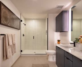Bathroom With Glass Shower at North+Vine, Illinois