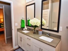 Custom Look Pointe at Lake CrabTree Bathroom in Morrisville Apartments for Rent