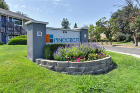 Pinecrest Monument Sign, Flower Bed, Grass and Apartment Exteriors at Pinecrest Apartments, California