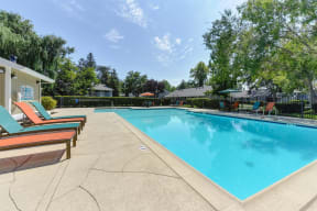 Pool Area with Lounge Chairs, Trees and Apartment Exteriors at Pinecrest Apartments, Davis ,95616