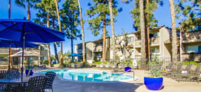 Shasta Lane Apartments Lifestyle - Pool Deck & Pool