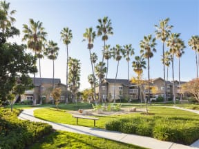Green Spaces With Mature Plam Trees, at Sumida Gardens Apartments, California