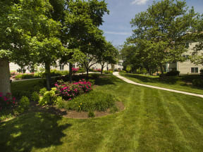 Beautiful Landscaping